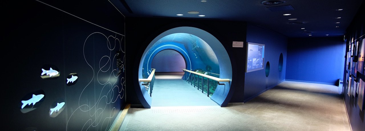 🖼️ 비와호 박물관 (비와코 하쿠부츠칸)